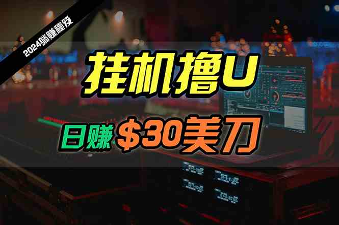 2024最新海外挂机撸U内部项目，全程无人值守，日赚30美刀，可批量放大