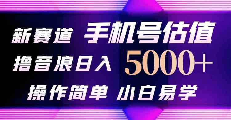 抖音不出境直播【手机号估值】最新撸音浪，日入5000+，简单易学，适合小白