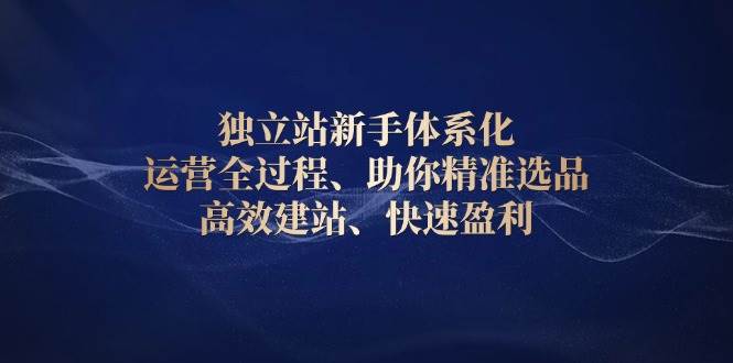 独立站新手体系化运营全过程，助你精准选品、高效建站、快速盈利