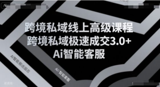 跨境私域 3.0+AI 客服课：流量运营到极速成交全攻略