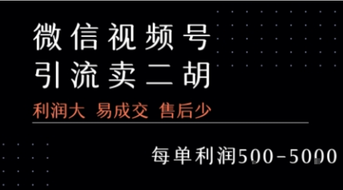 视频号卖二胡教程，高利润易成交，一单赚 5 张 +