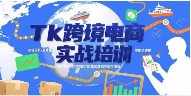 TikTok 跨境电商实战课 从起号到变现全流程 多赛道运营