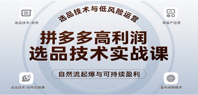 拼多多高利润选品实战课：自然流起爆低风险盈利
