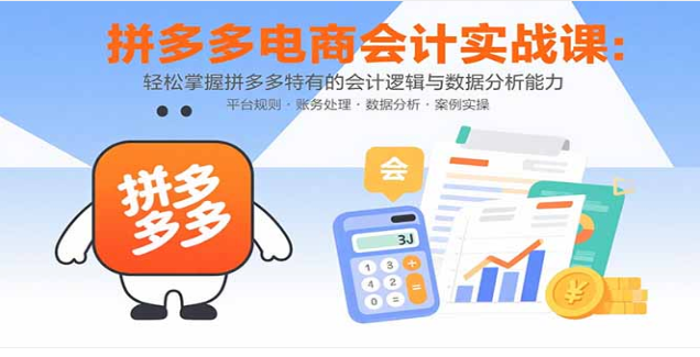 拼多多电商会计实操课 掌握财务全流程与数据分析能力