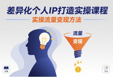 差异化个人 IP 打造实操课 流量变现方法 + 账号运营教学