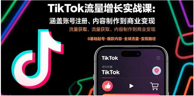 TikTok 流量增长实战课 账号注册 / 流量获取 / 变现全流程教学