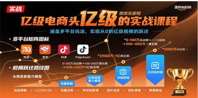亿级电商头部卖家实战课：多平台玩法 0 到亿跃迁