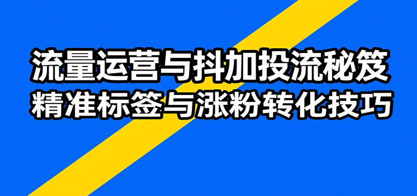 抖音流量运营 & 抖加投流课：算法 / 爆款 / 涨粉转化技巧