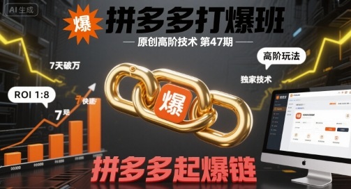 拼多多 47 期打爆班 原创高阶技术 + 起爆链 爆款打造实操