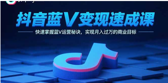 抖音蓝 V 变现速成课 运营秘诀 + 销售技巧 助你月入过万