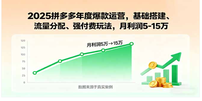 2025 拼多多年度爆款运营课 学流量付费玩法 月利润 5-15 万