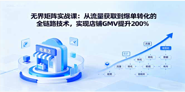 无界矩阵实战课 流量获取到爆单转化 店铺 GMV 提升 200%