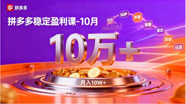 10 月拼多多稳定盈利课 强付费 SOP + 微付费高投产 单店月入 10 万 + 实操