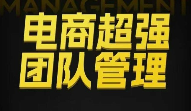 电商超强团队管理课 绩效 + 用人执行 + 分权合伙全体系实战指南