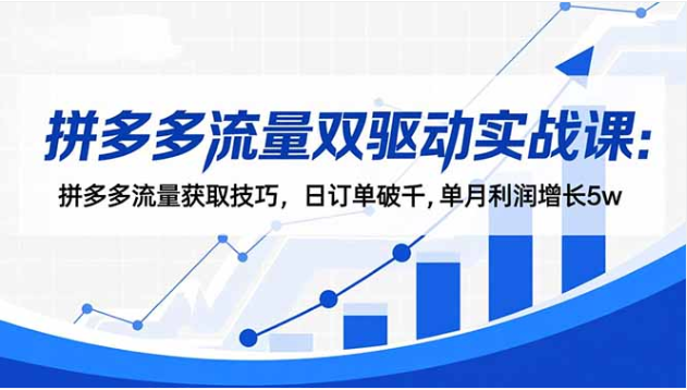 拼多多流量双驱动实战课 免费 + 付费流量技巧 爆款打造盈利提升教程