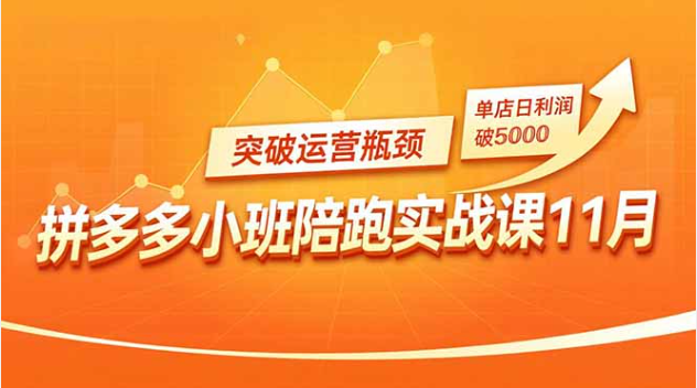 纪主任亲带！拼多多强付费玩法，日赚5000不是梦
