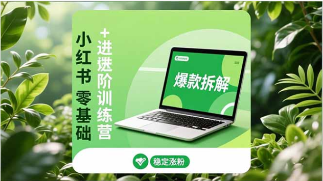 小红书零基础高阶训练营 涨粉变现全攻略