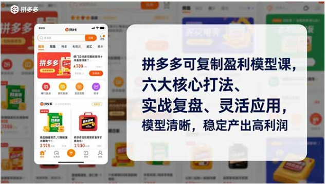 拼多多可复制盈利模型课 六大核心打法 稳定高利润实战课
