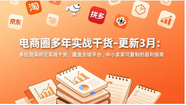 2026 全域电商实战干货 中小卖家可复制盈利运营教程