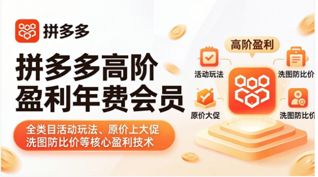 拼多多稳定盈利课 强付费 SOP + 微付费高投产 单店月入 10 万 + 实操