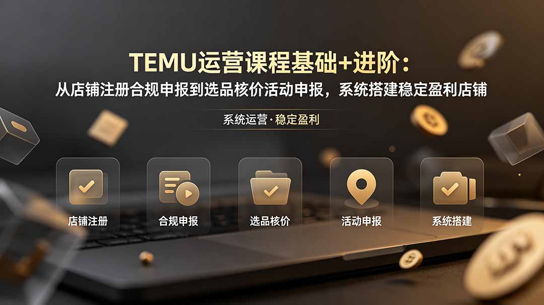 TEMU 全套运营基础进阶教程 开店合规选品核价活动申报实操课程