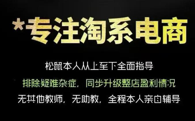 松鼠会淘宝电商VIP课程 掌握运营逻辑提升流量转化