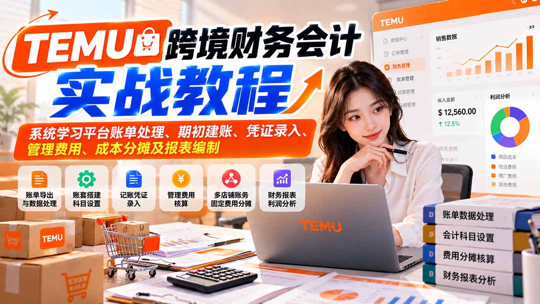 TEMU跨境财务会计实战教程系统学全盘账务处理